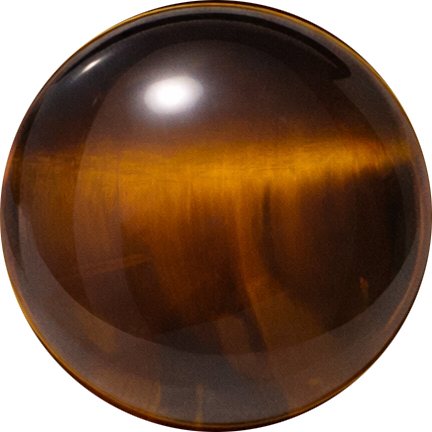 Pärlfärgad Tigerögasten