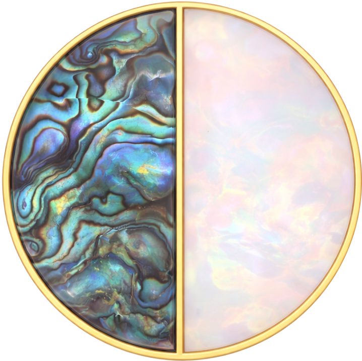 Abalone/Nautilus